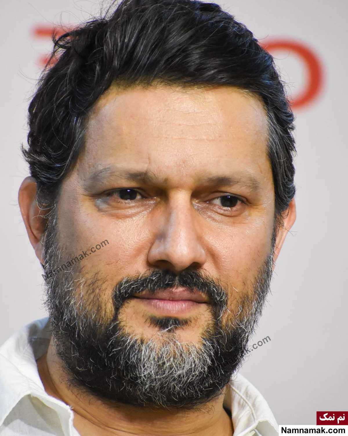 بیوگرافی حامد بهداد