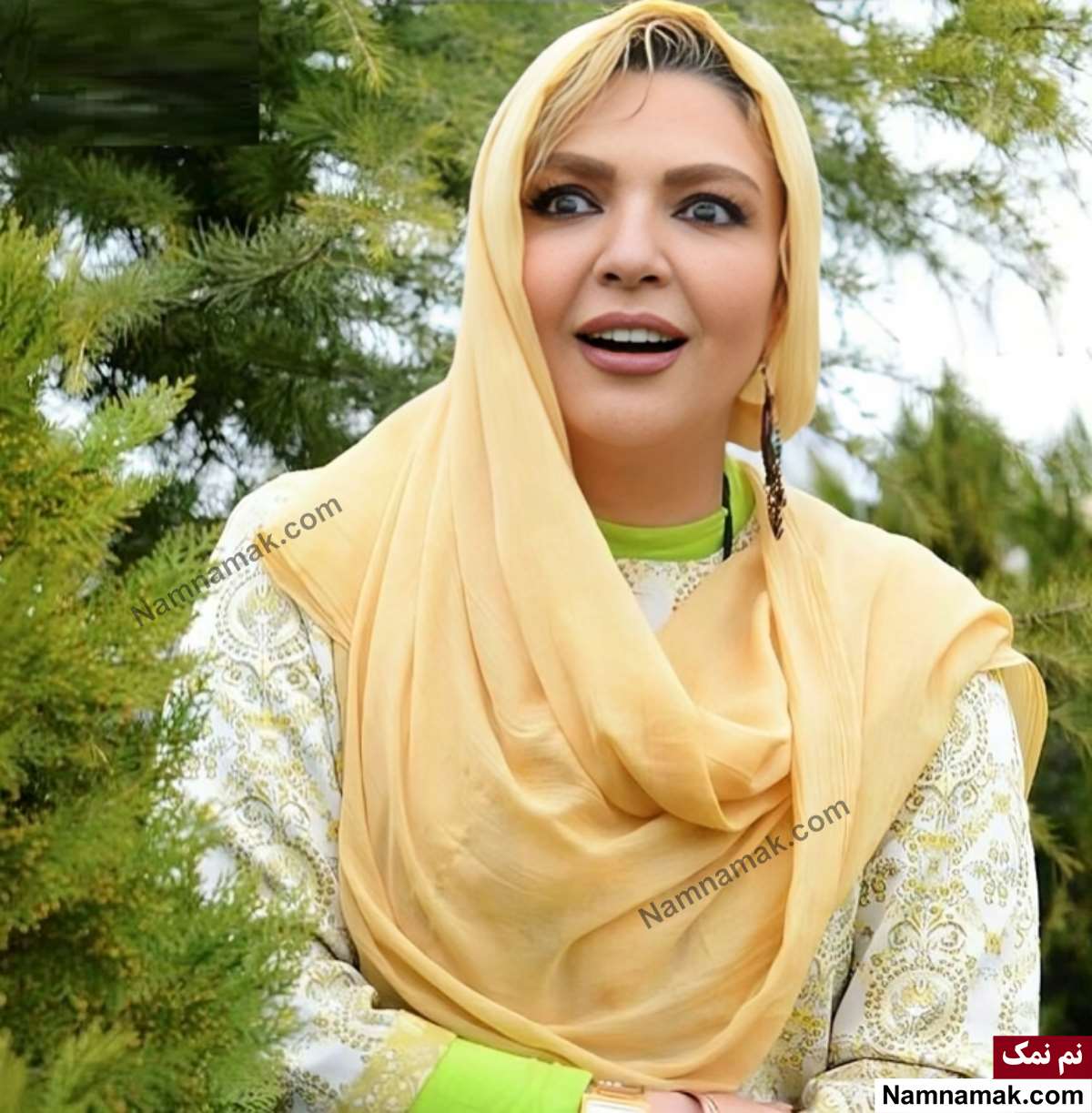 زندگینامه شهرزاد عبدالمجید و همسرش شهرزاد عبدالمجید - Shahrzad Abdolmajid