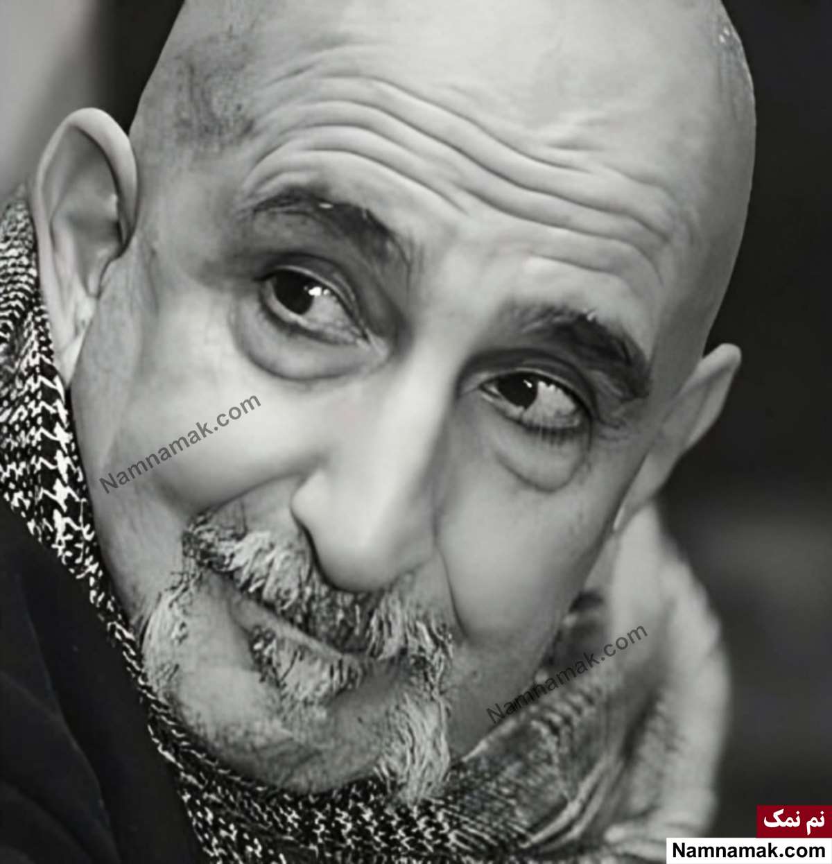 بیوگرافی بازیگران فیلم دو روز دیرتر فرهاد آئیش