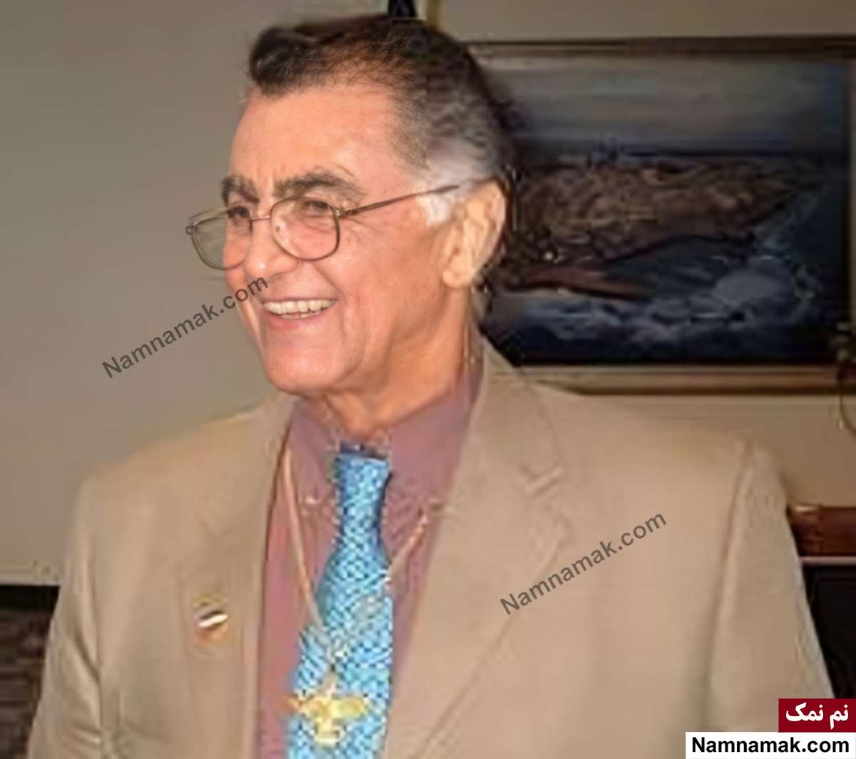رضا فاضلی