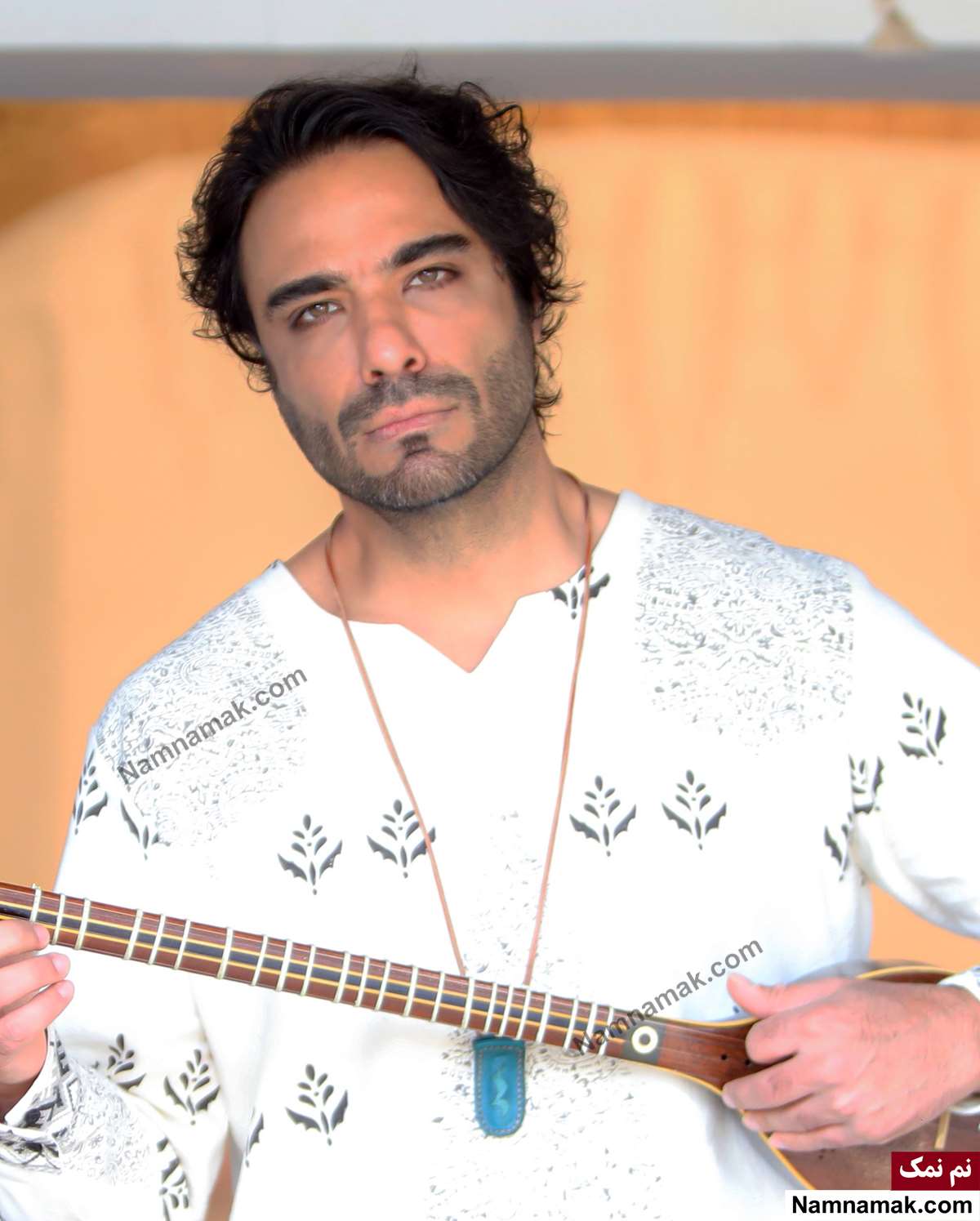 زندگینامه علی قمصری و همسرش علی قمصری - Ali Ghamsari
