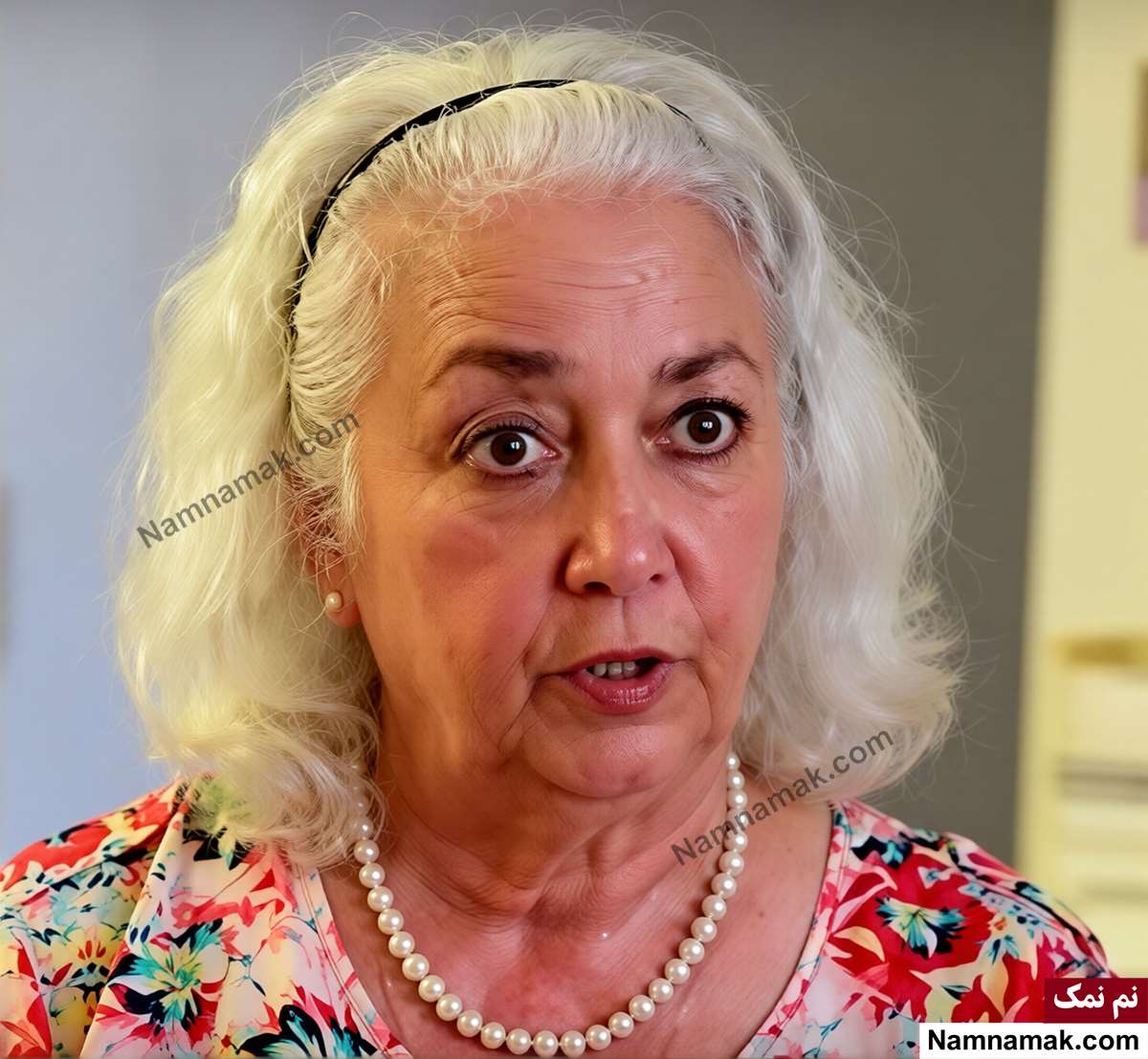 شهرنوش پارسی پور - Shahrnush Parsipur