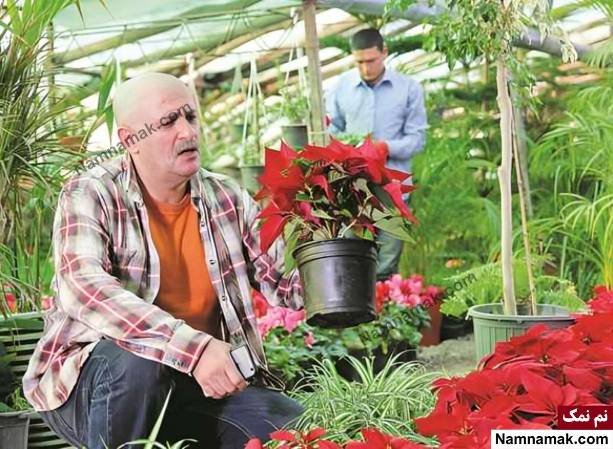 خلاصه داستان و بیوگرافی بازیگران فیلم دریاچه ماهی علی دهکردی در فیلم دریاچه ماهی