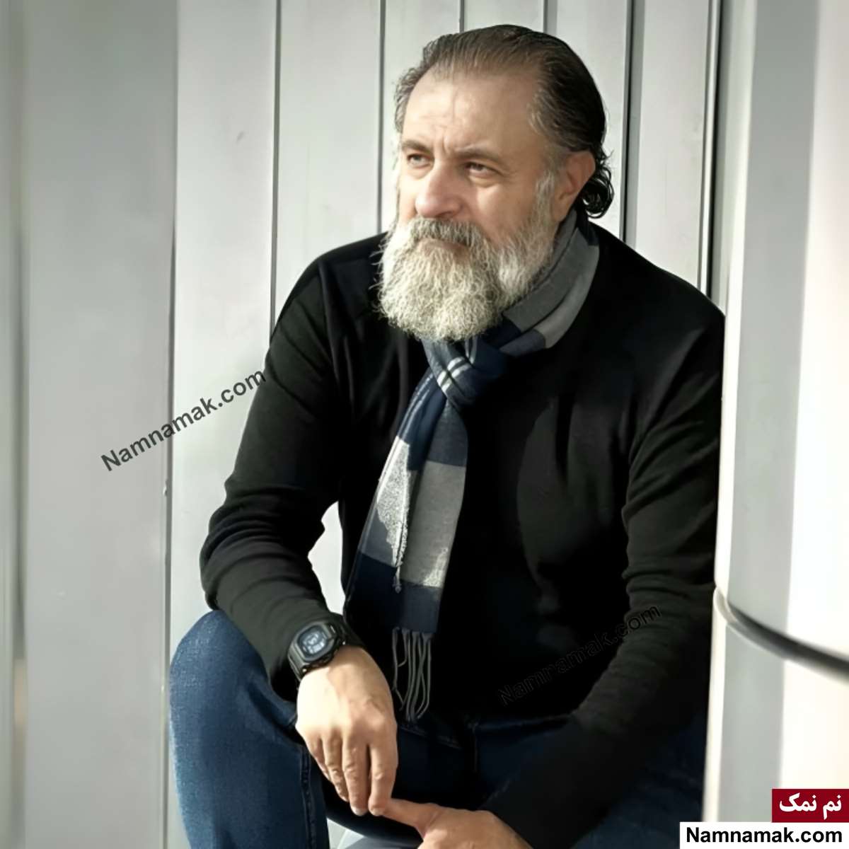 بیوگرافی بازیگران فیلم دریاچه ماهی بیوگرافی علی دهکردی