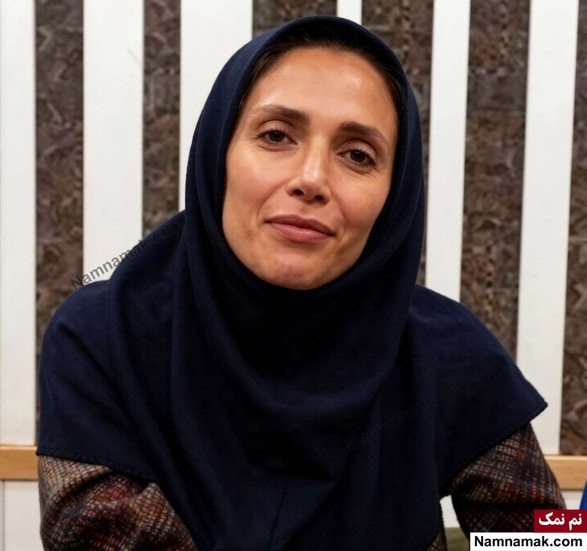 زندگینامه نیلوفر حدادی و همسرش نیلوفر حدادی - Niloufar Hadadi