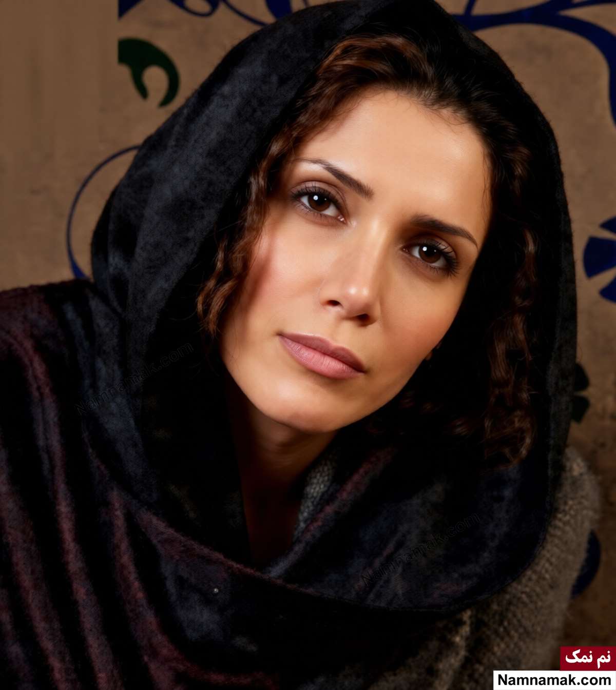 زندگینامه نیلوفر حدادی و همسرش نیلوفر حدادی - Niloufar Hadadi