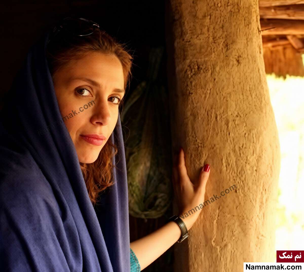 زندگینامه نیلوفر حدادی و همسرش نیلوفر حدادی - Niloufar Hadadi