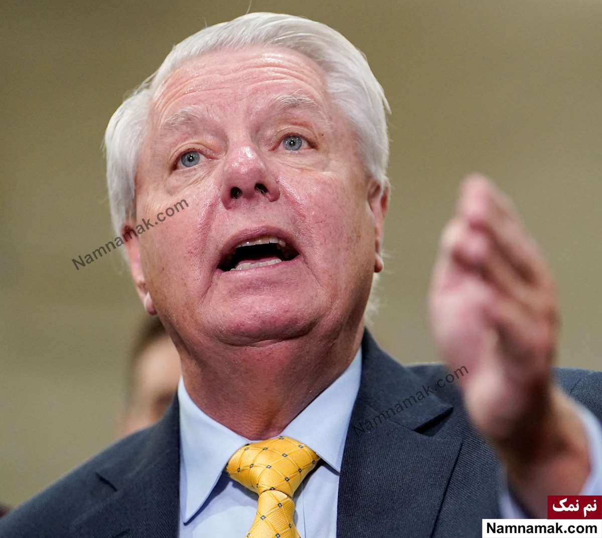 زندگینامه لیندزی گراهام و همسرش لیندزی گراهام - Lindsey Graham