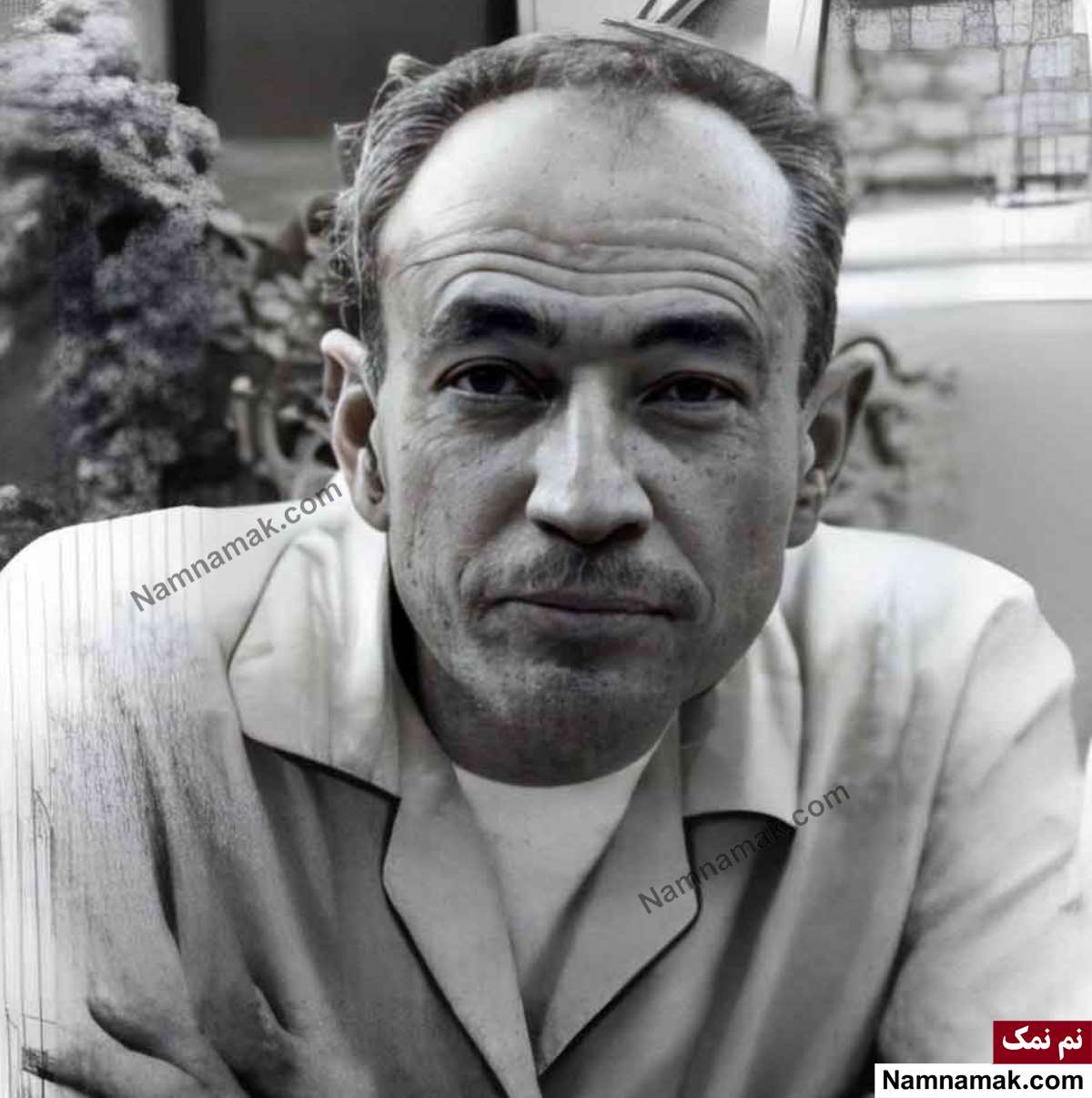 چهره های مشهور ایرانی درگذشته 23 تیر مهدی حمیدی شیرازی