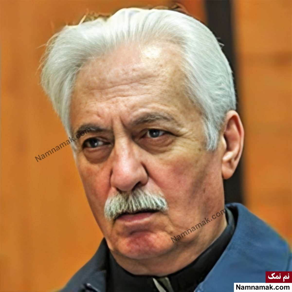 بیوگرافی بازیگران فیلم پاریس تا پاریس جمشید شاه محمدی