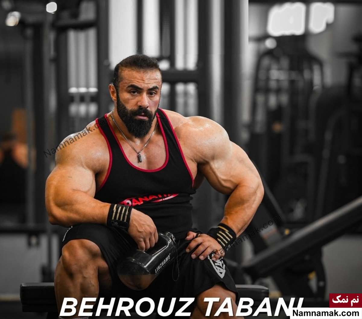 زندگینامه بهروز تابانی و همسرش بهروز تابانی - Behrouz Tabani