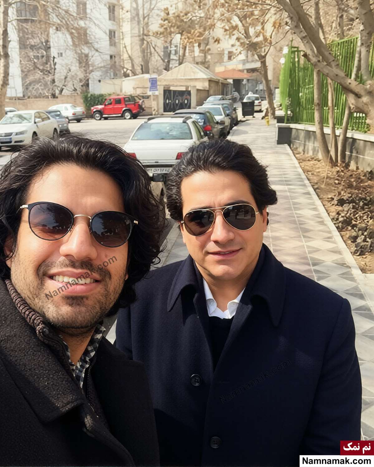 زندگینامه سهراب پورناظری و همسرش سهراب پورناظری و همایون شجریان