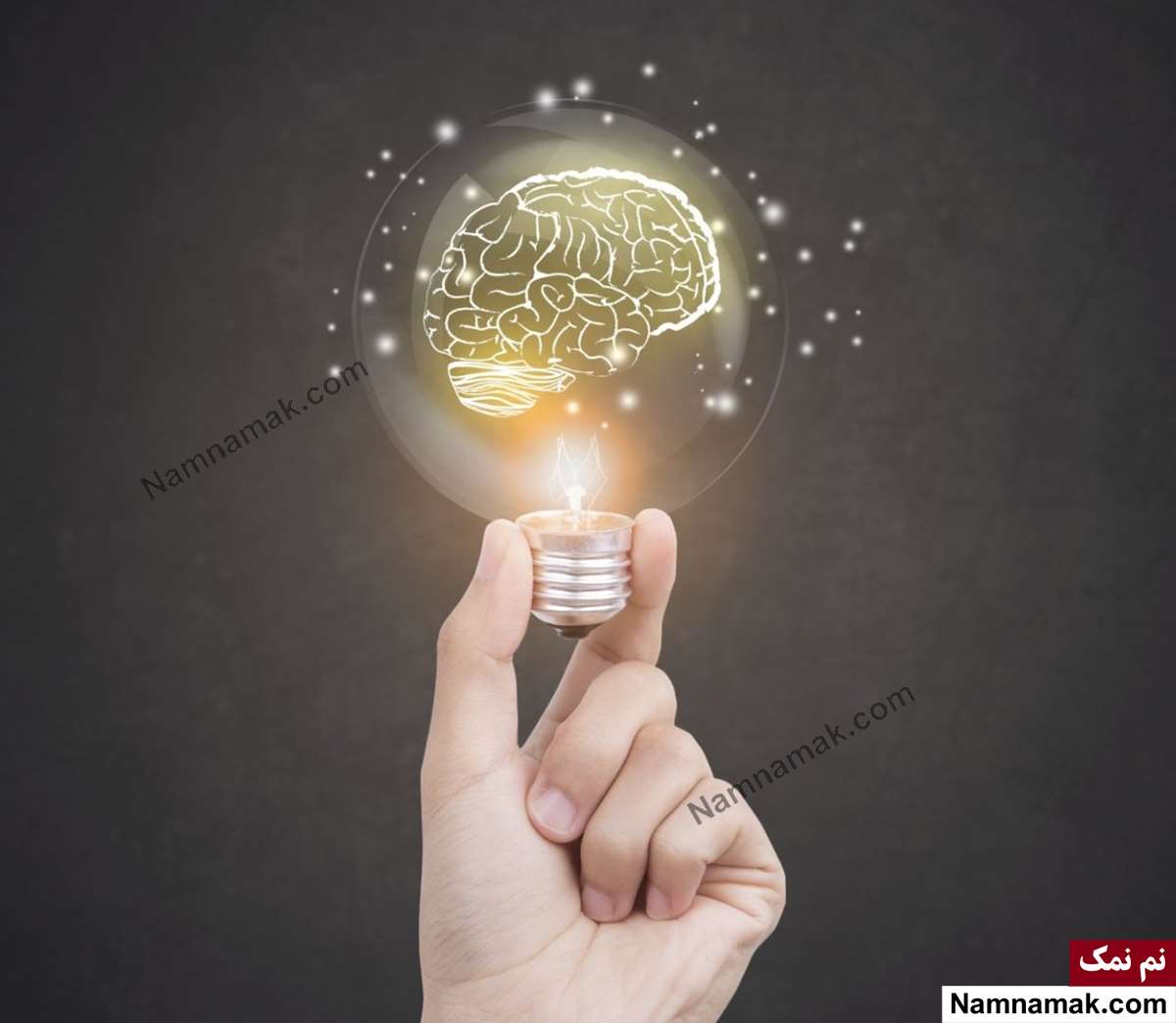 برای تقویت حافظه چه بخوریم طب سنتی