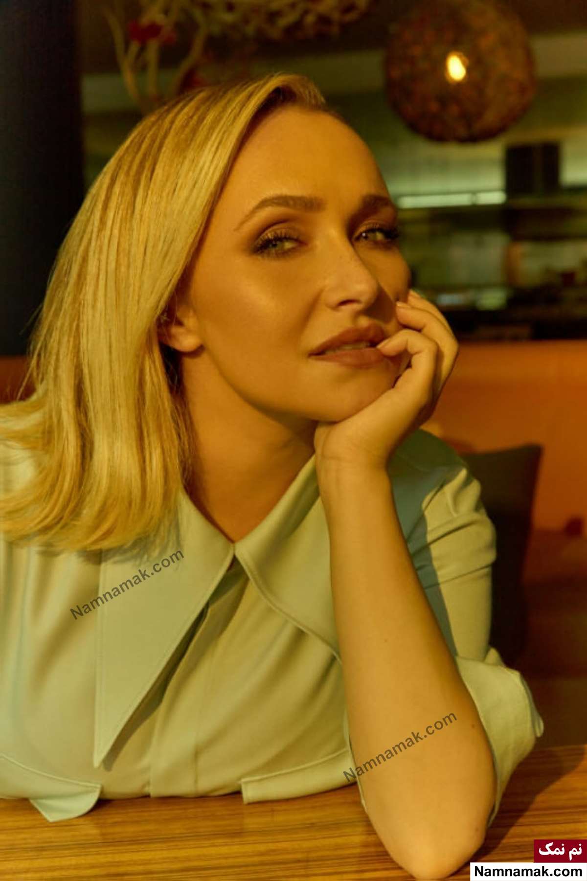 زندگینامه هیدن پنیتیر و همسرش هیدن پنیتیر - Hayden Panettiere