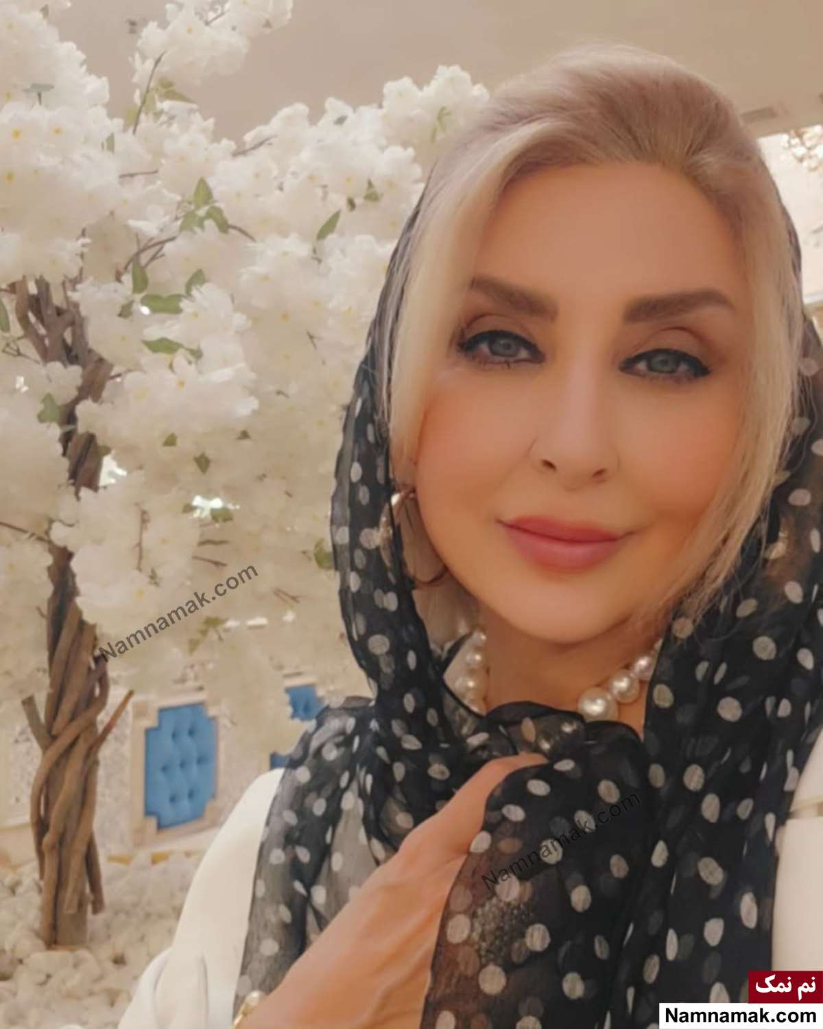بیوگرافی بازیگران سریال آئینه مرجانه گلچین