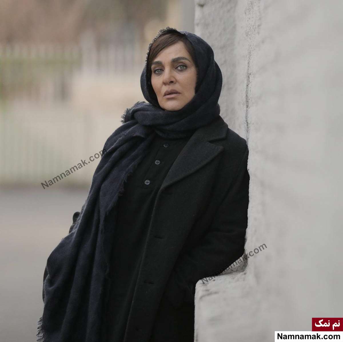 خلاصه داستان و بیوگرافی بازیگران فیلم وحشی روبا نونهالی در فیلم وحشی