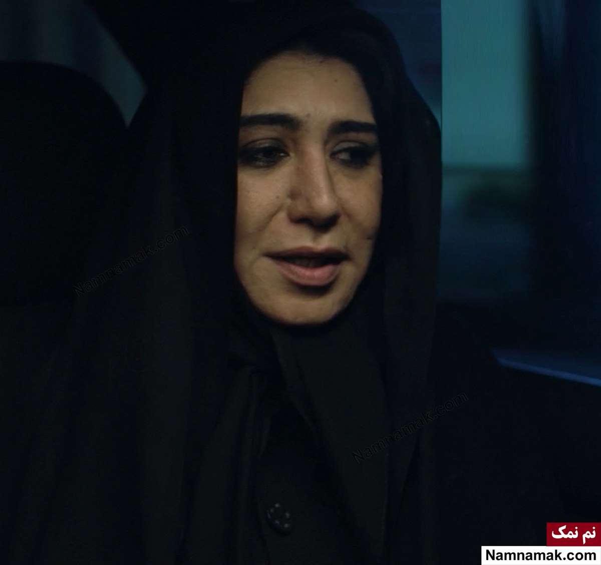خلاصه داستان و بیوگرافی بازیگران فیلم ضابط نسیم ادبی در فیلم ضابط
