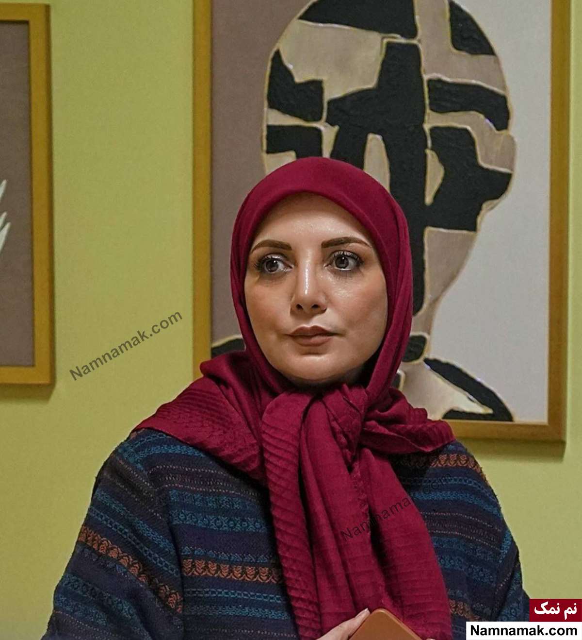 خلاصه داستان و بیوگرافی بازیگران سریال نسخه آزمایشی رویا میرعلمی در سریال نسخه آزمایشی
