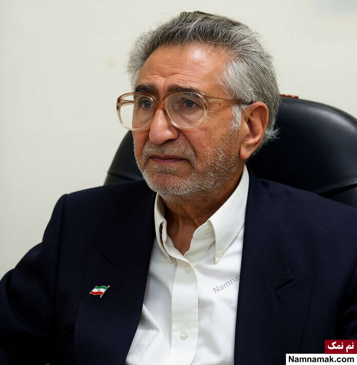 چهره های متولد 13 شهریور محمدعلی مولوی