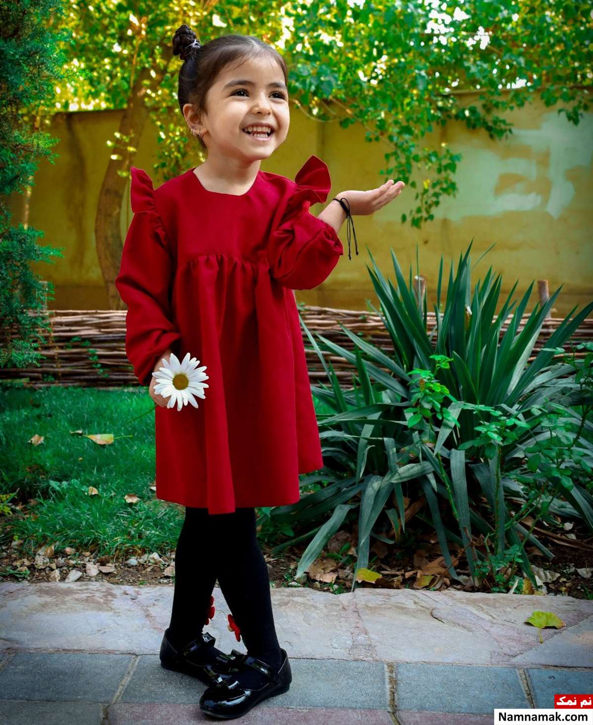 رویسا عزیزی رویسا عزیزی