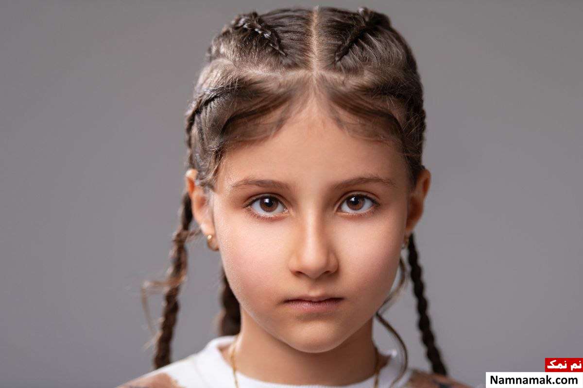 زندگینامه سوین موسوی محمدی