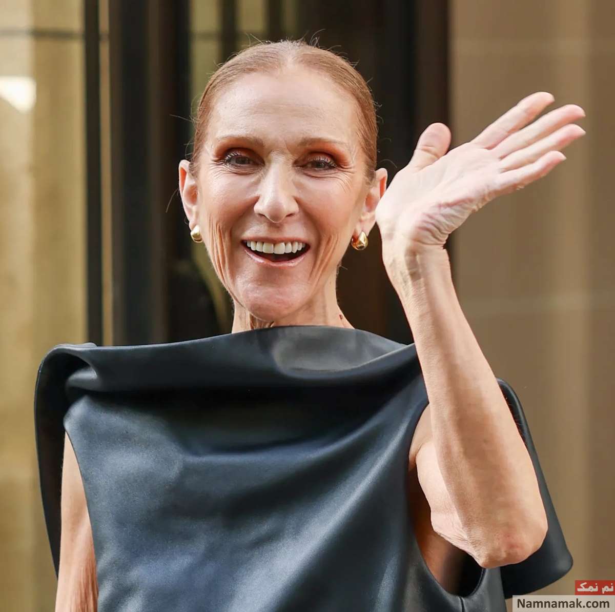 زندگینامه سلین دیون و همسرش سلین دیون - Celine Dion