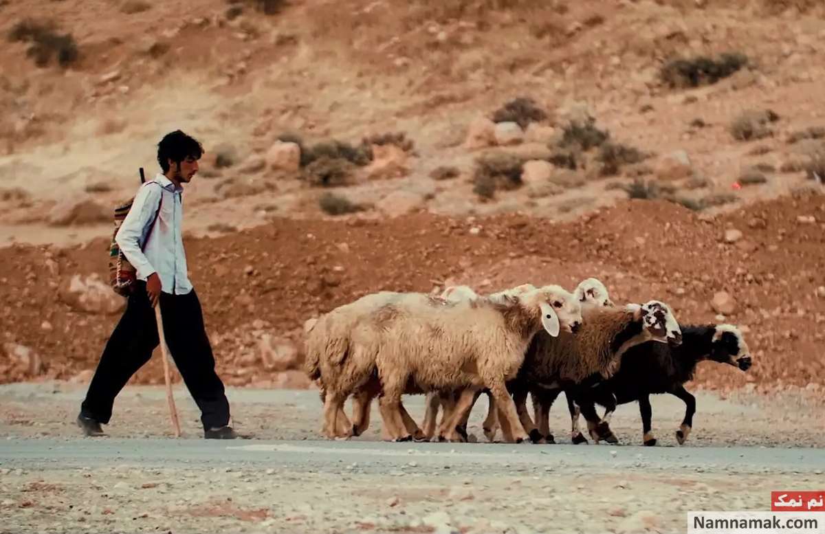 خلاصه داستان و بیوگرافی بازیگران فیلم آوای کوهستان فیلم آوای کوهستان