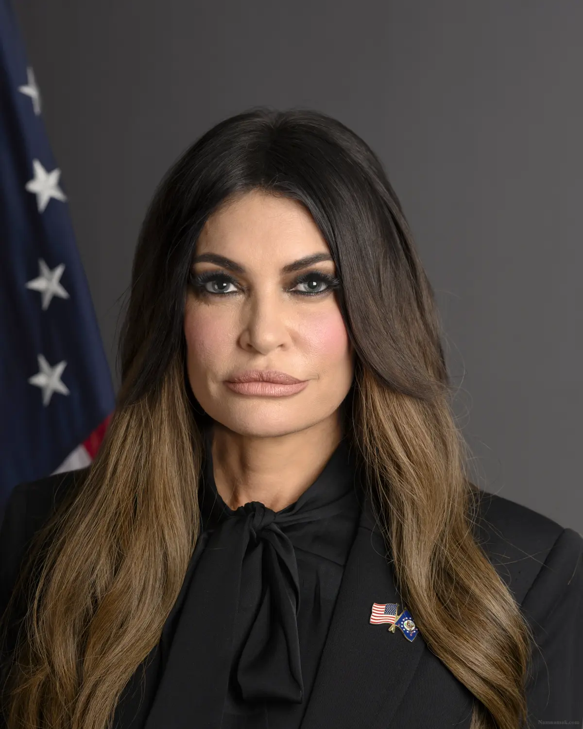 بیوگرافی کیمبرلی گیلفویل کیمبرلی گیلفویل - Kimberly Guilfoyle