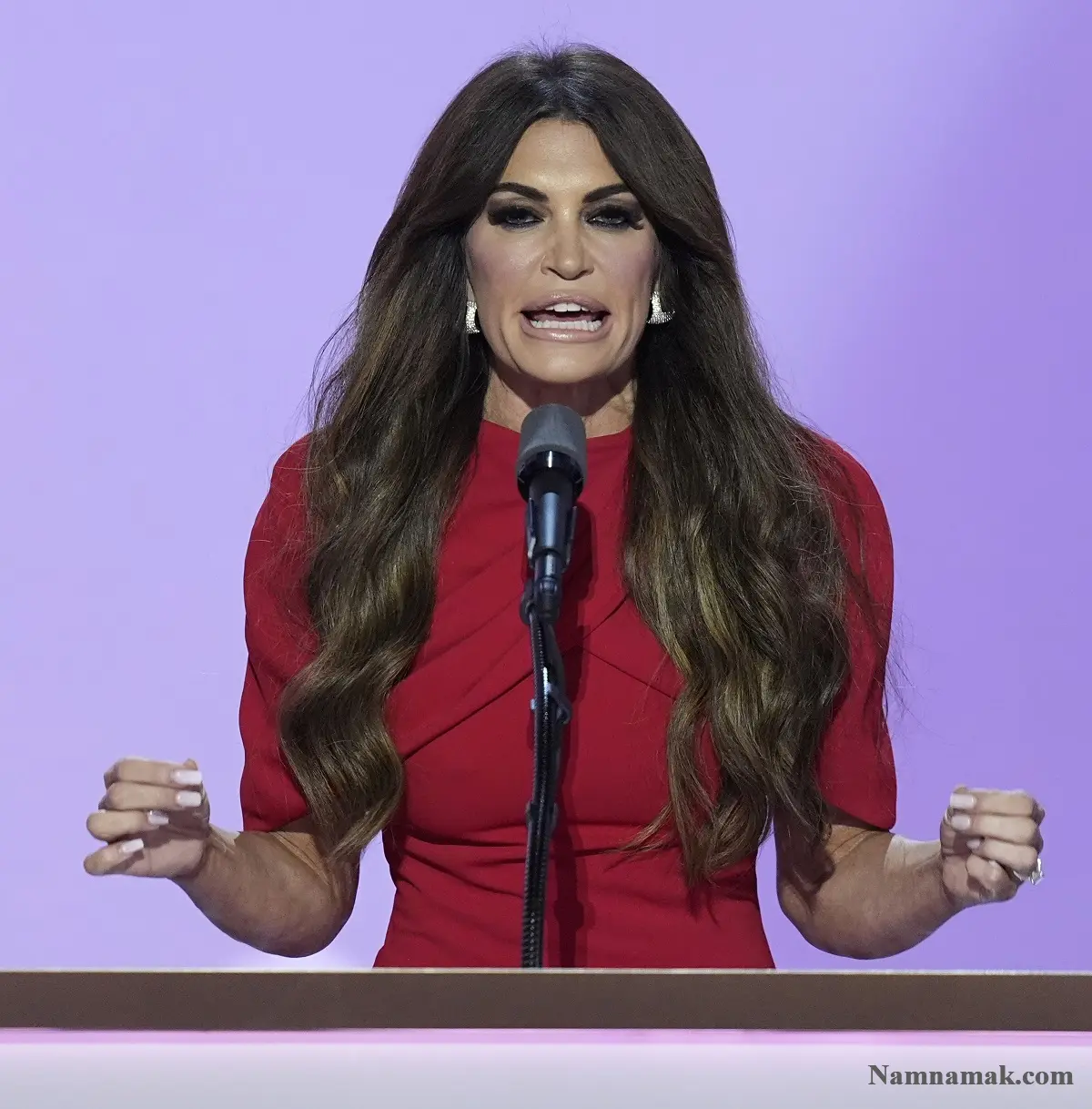 بیوگرافی کیمبرلی گیلفویل کیمبرلی گیلفویل - Kimberly Guilfoyle