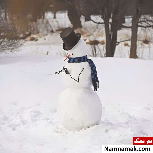 جشنواره مد آدم برفی ها
