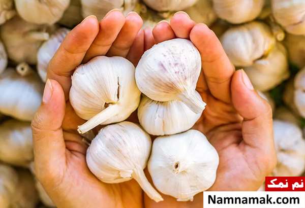 خواص سیر خام برای معده و زخم معده