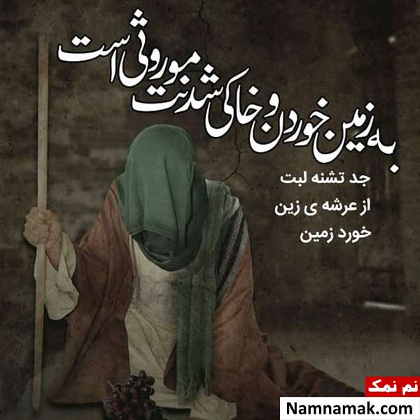 عکس نوشته پروفایل به مناسبت شهادت امام رضا (ع)