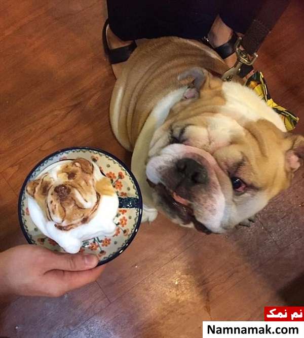 خلق آثار سه بعدی روی قهوه خلق آثار سه بعدی روی قهوه