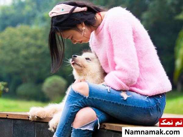 چگونه با سگ حرف بزنیم؟