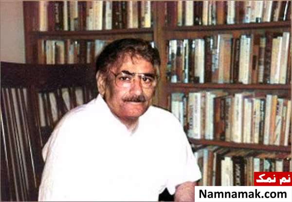 بیوگرافی تقی مدرسی تقی مدرسی - Taqi Modarresi