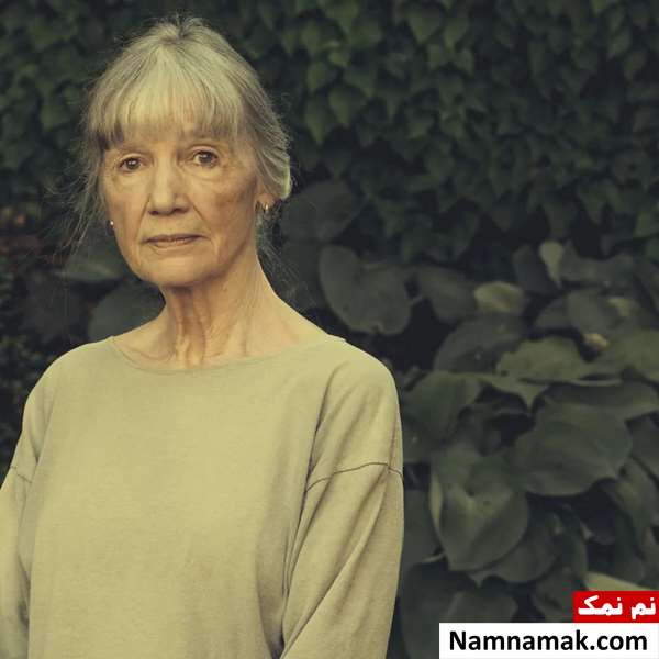 بیوگرافی تقی مدرسی آن تایلر همسر تقی مدرسی