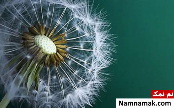 تشخیص بارداری از روی لب و دهان