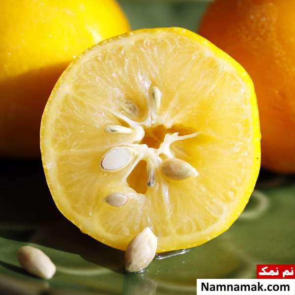 فواید و خواص هسته و دانه لیمو ترش فواید و خواص هسته و دانه لیمو ترش