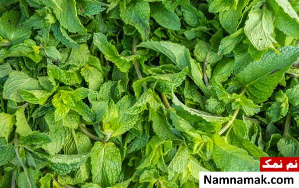 کدام سبزی روشن کننده پوست است؟ کدام سبزی روشن کننده پوست است؟