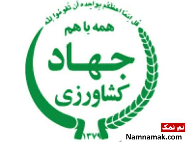 بهمن میردارسلطانی
