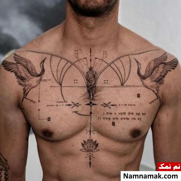 فواید تاتو فواید تاتو