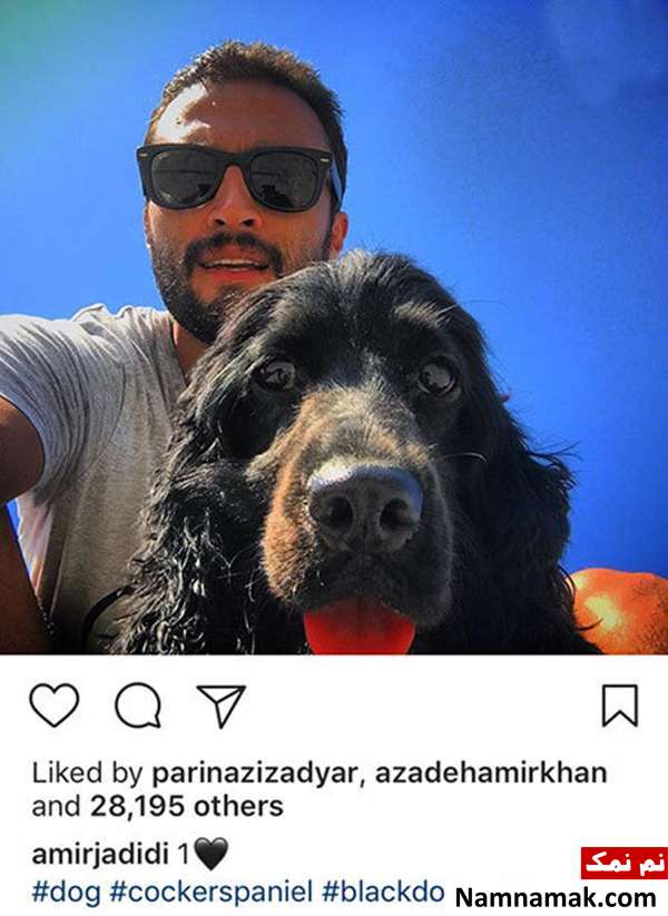 اخبار،اخبار فرهنگی،اخبار چهره ها اخبار،اخبار بازیگران،اخبار فرهنگی