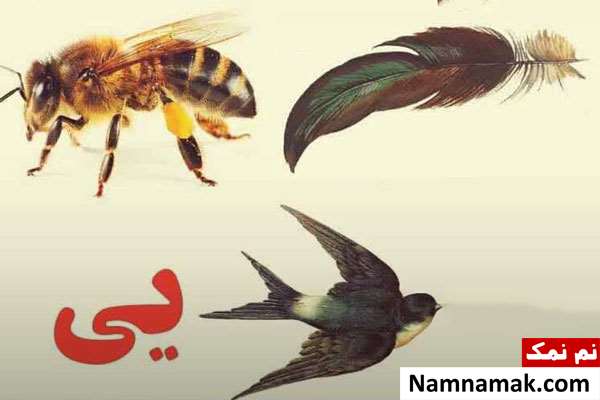 معما با جواب تصویری برای کودکان جالب و خنده دار معما با جواب تصویری برای کودکان جالب و خنده دار