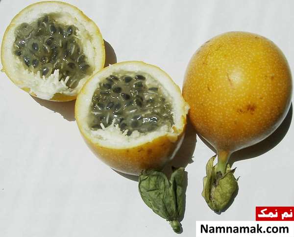 خواص گراندیلا