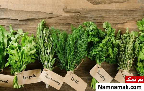 داروی گیاهی و خانگی برای عفونت گوش حلق بینی داروی گیاهی و خانگی برای عفونت گوش حلق بینی