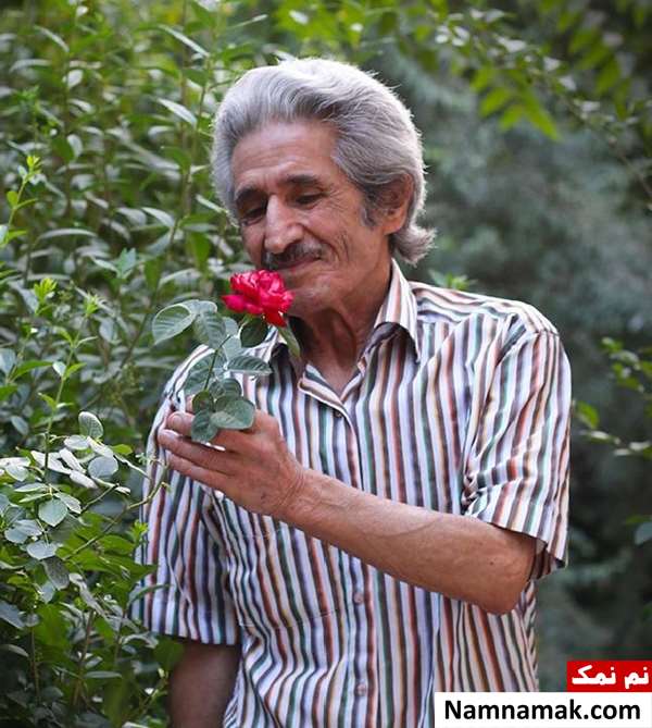 محمدعلی شیرازی