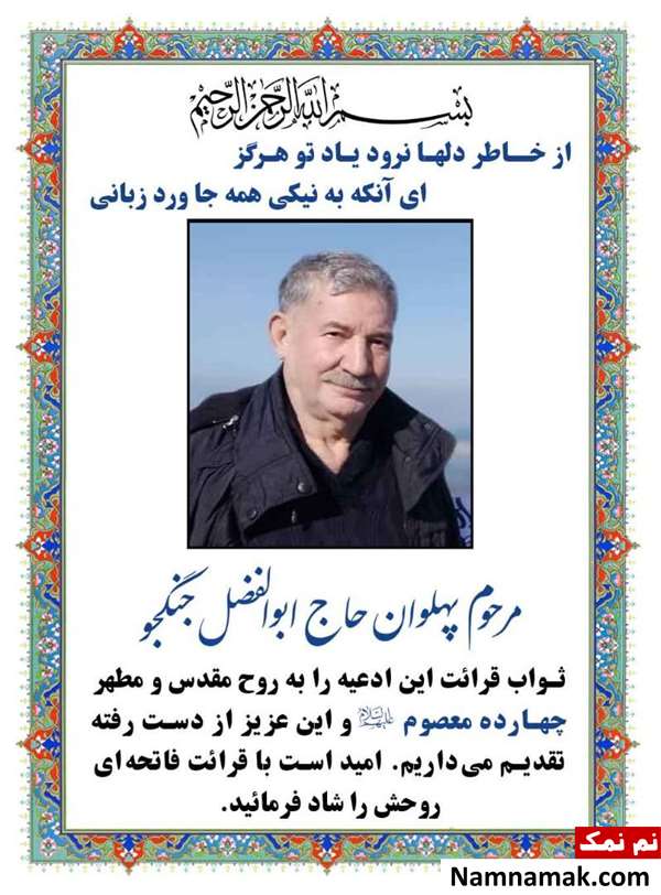 ابوالفضل جنگجو