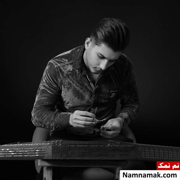 زندگینامه امیرحسین پیرزاده و همسرش امیرحسین پیرزاده
