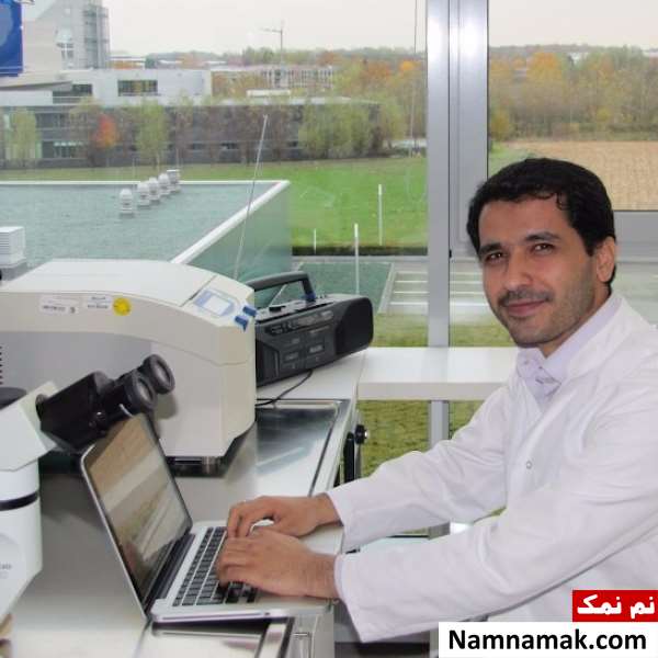 علی شریفی زارچی