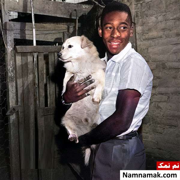 پله